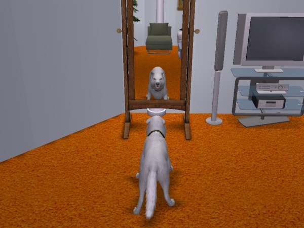snapshot_367e8d00_9687d9ac