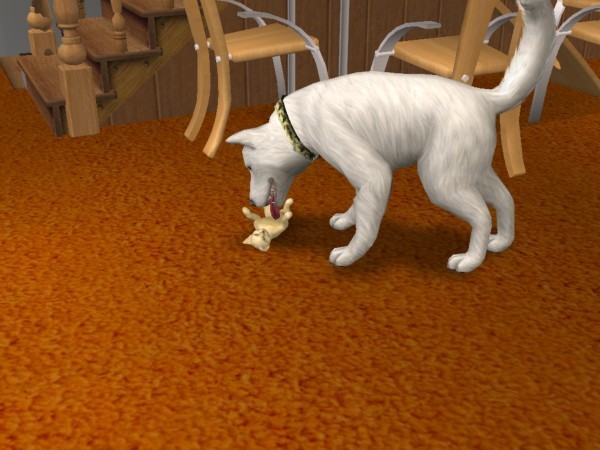 snapshot_367e8d00_b687dd29