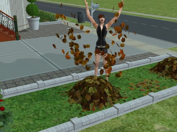 snapshot_367e8d00_9687e03c