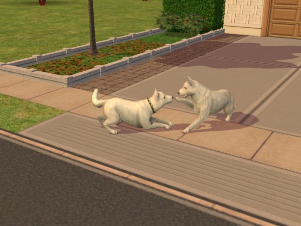 snapshot_367e8d00_1687e790