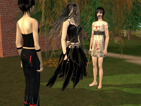 snapshot_368cb0a9_168cb708