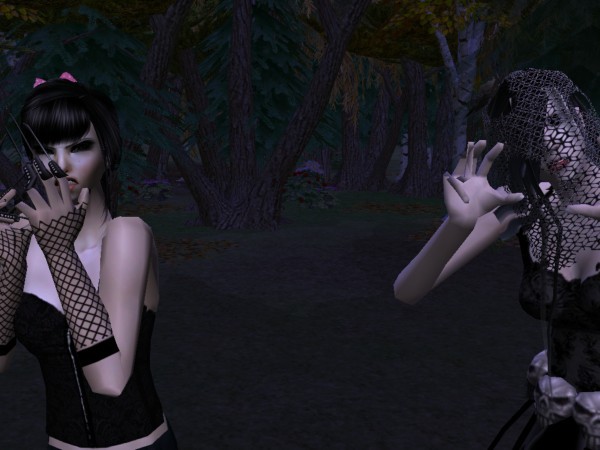 snapshot_368cb0a9_768cbd70