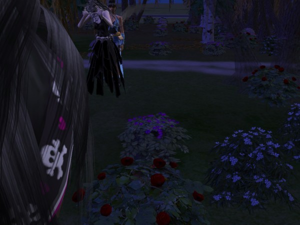 snapshot_368cb0a9_768cc1ca
