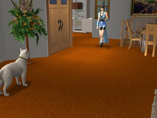 snapshot_367e8d00_368e07d3