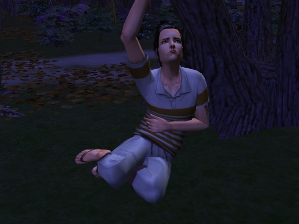 snapshot_367e8d00_d68f1b0d