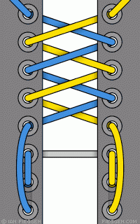 3100fe3fd3_7434658_o2