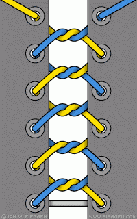 e0050ad5ec_7522109_o2