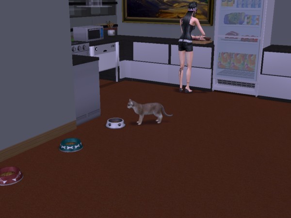 snapshot_367e8d00_16c51f71