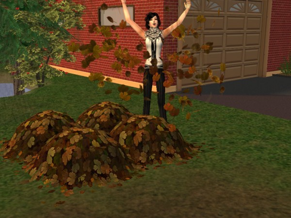 snapshot_367e8d00_56c6933f