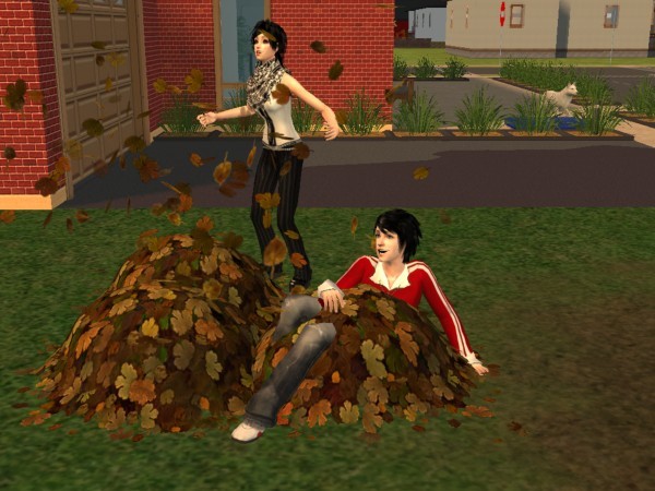 snapshot_367e8d00_36c69487