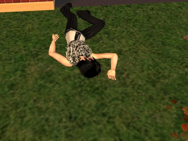 snapshot_367e8d00_56d25db3