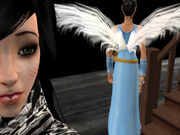 snapshot_16d2572b_36d3d6f0