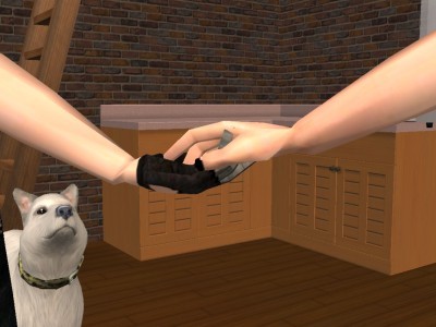 snapshot_971c3b00_17538506