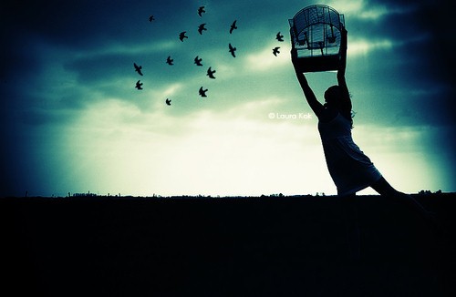 free like a bird
