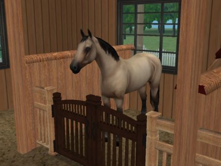 snapshot_9483fd