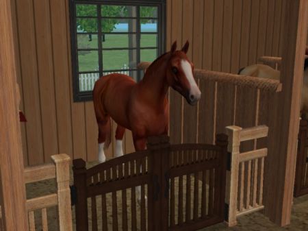 snapshot_9483fd
