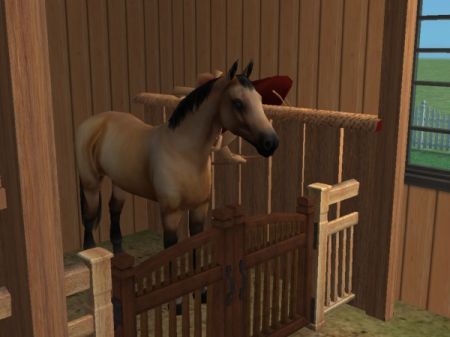 snapshot_9483fd