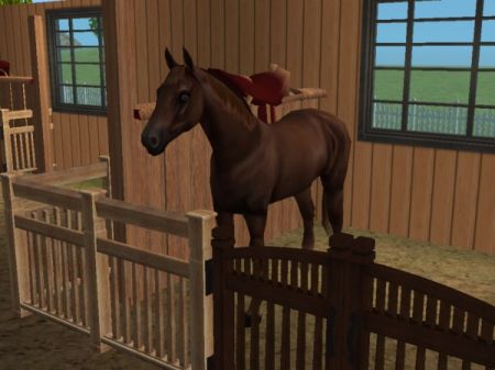 snapshot_9483fd