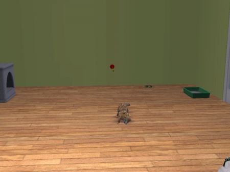 snapshot_9483fd