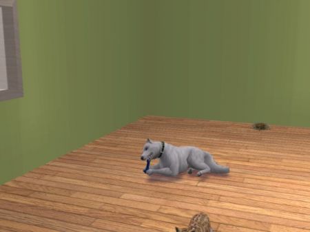 snapshot_9483fd