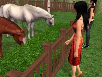 snapshot_b52a0e93_b52a25f9.jpg