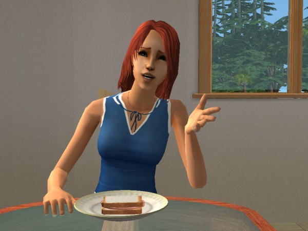 snapshot_d5debde7_55ded0dd