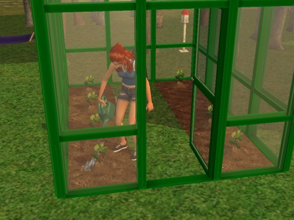 snapshot_d5debde7_75e008a2