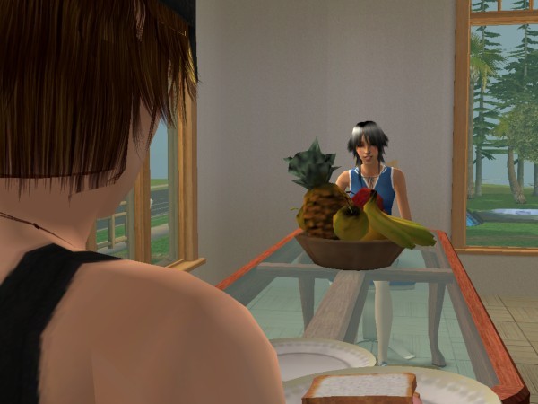 snapshot_d5debde7_d5e00b8a