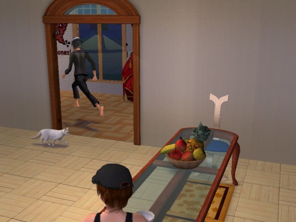 snapshot_d5debde7_95e00e56