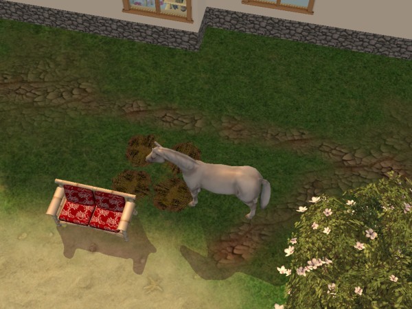 snapshot_d5debde7_95e022b4