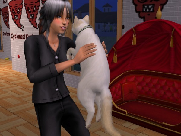 snapshot_d5debde7_35e027d7