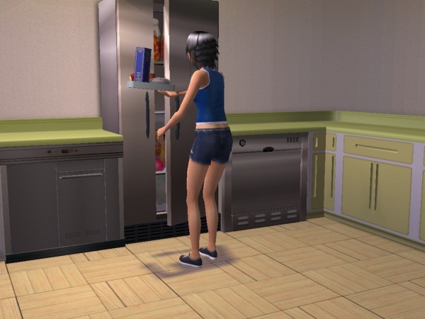 snapshot_d5debde7_55e03340