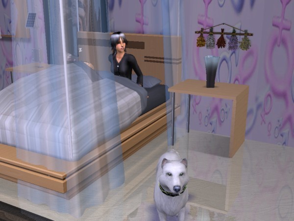 snapshot_d5debde7_d5e12312
