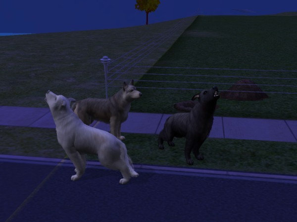 snapshot_d5debde7_55e12770