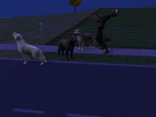 snapshot_d5debde7_95e1277f