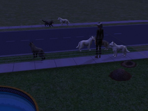 snapshot_d5debde7_55e127d9