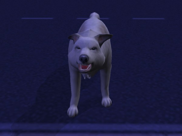 snapshot_d5debde7_15e12eed