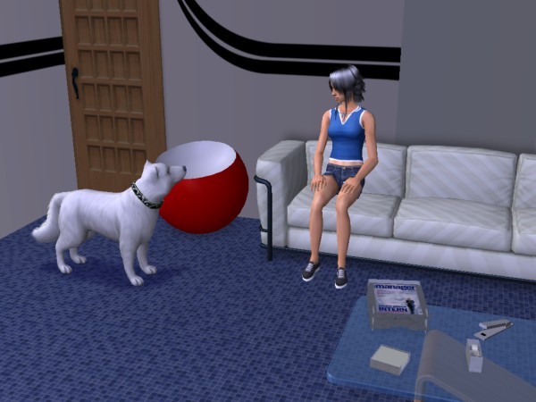 snapshot_d5debde7_35e13058
