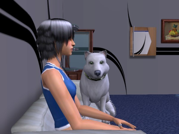 snapshot_d5debde7_75e1307d