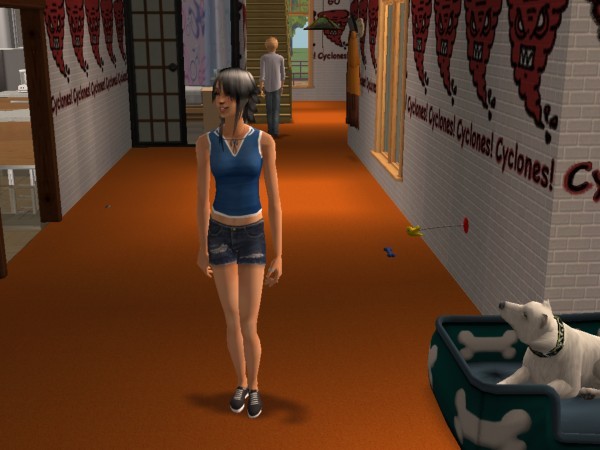 snapshot_d5debde7_95e141c5
