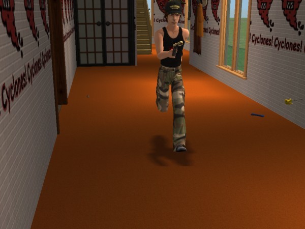 snapshot_d5debde7_15e14a85