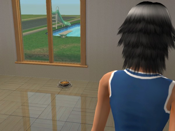 snapshot_d5debde7_15e14ce6