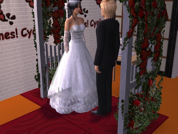 snapshot_d5debde7_15e15237