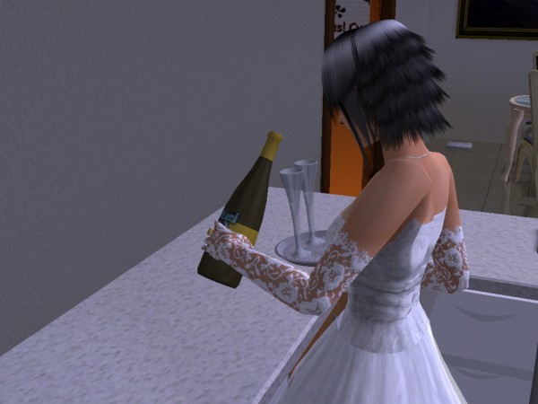 snapshot_d5debde7_35e15328