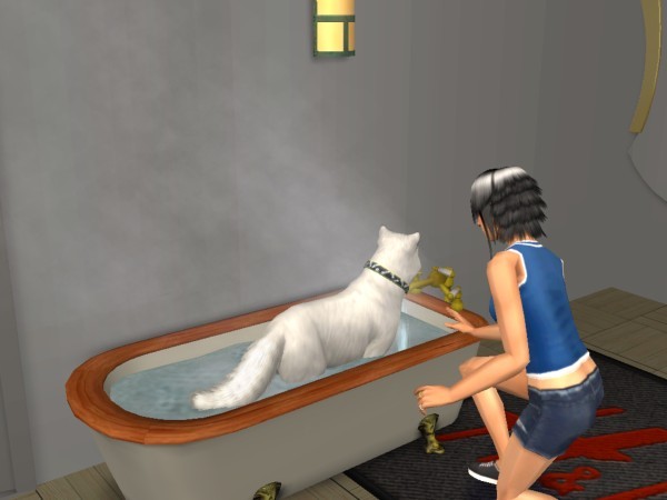 snapshot_d5debde7_55e1595e